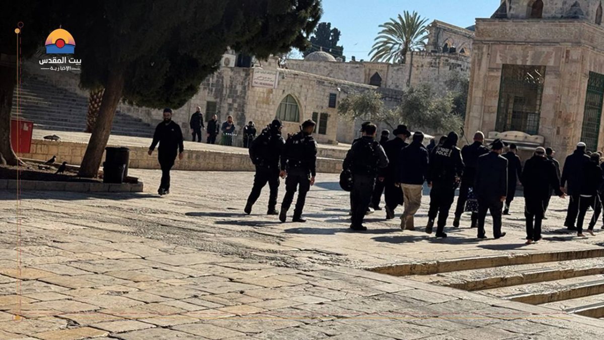 151 مستوطناً يقتحمون المسجد الأقصى